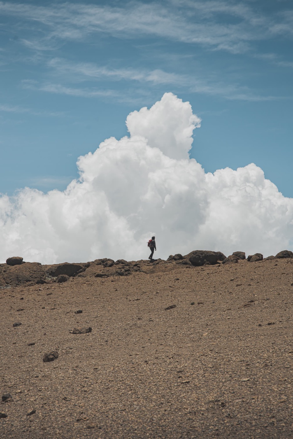 Solitary hiker walking a narrow trail toward a snow-capped peak, overcast sky — the scale of the journey ahead.