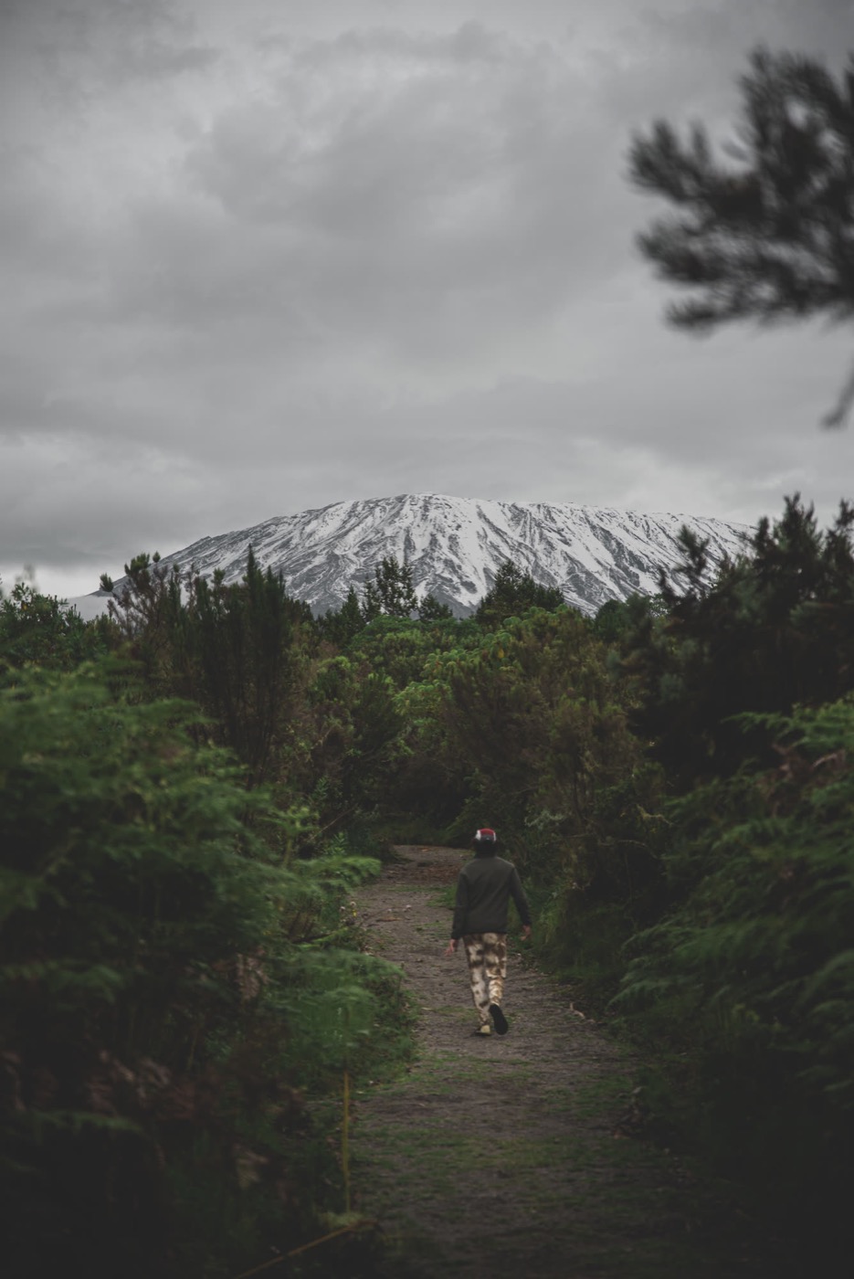 Solitary hiker walking a green trail toward a snow-capped Kilimanjaro — scale of journey, still going.