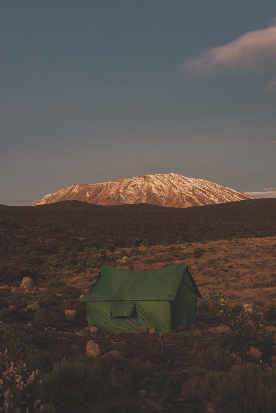 Tent pitched beneath a snow-capped peak at golden hour — the morning before. Quiet before the effort.